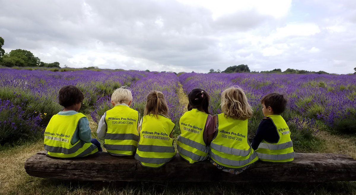 Hammersmith visits the Lavender Fields